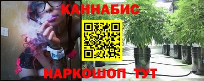 прущие грибы Комсомольск-на-Амуре