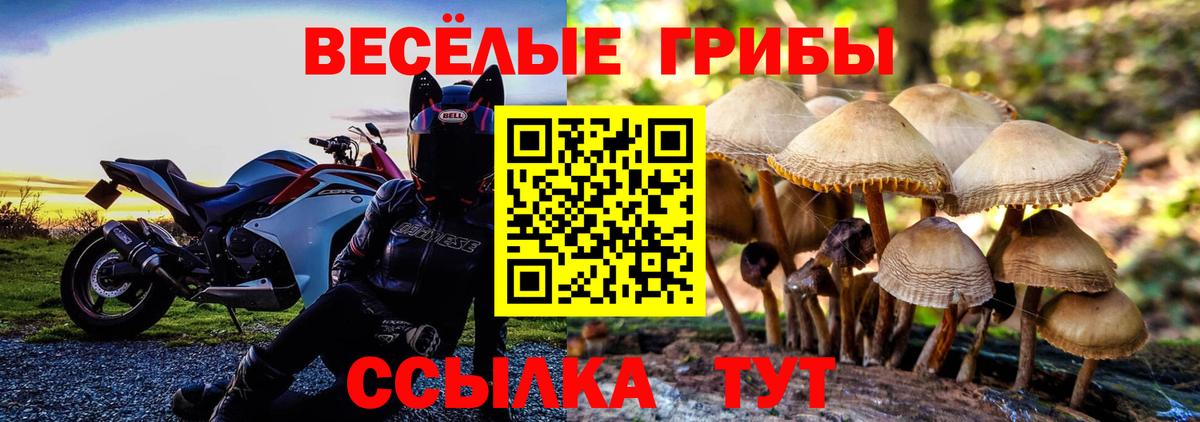 Галлюциногенные грибы Magic Shrooms Красноуфимск