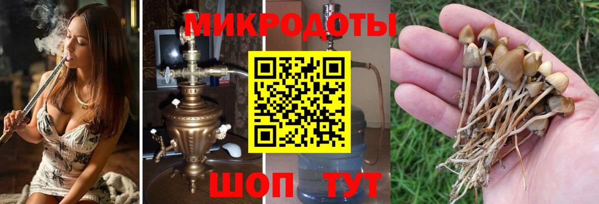 Галлюциногенные грибы мицелий  Псилоцибиновые грибы Psilocybe  Красноуфимск  Вход с VPN 